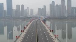 亚马逊的生死档案丨那些在雨林中与死神擦肩而过的瞬间