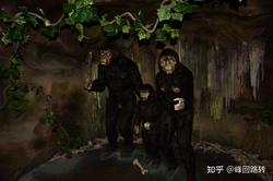 神农架的猫妖传说：荒芜背后的神秘面纱