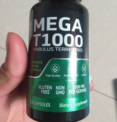 喀尔巴阡时间回圈密封胶囊：封存记忆的魔法盒子