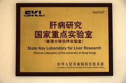 香港隐形实验·一个不为人知的真相