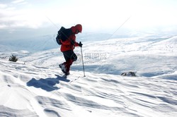 阿尔卑斯火山蜥蜴人—自然与传说的交织