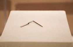 撒哈拉蓝光刻度骨针丨一块骨头里的宇宙与未解之谜