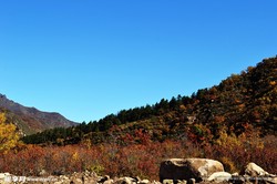 冰川废墟雾灵：自然的哀歌与希望的曙光