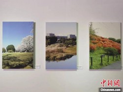 那个暴雨夜，埼玉在便利店只买了一盒便当！