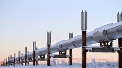 挪威发现气场｜揭秘北欧神秘力量的秘密