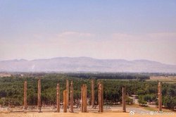 探寻波斯密洞：那些绿光下的骨骸残迹