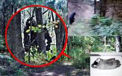 神农架的土元素之谜丨这片神奇土地上的不为人知