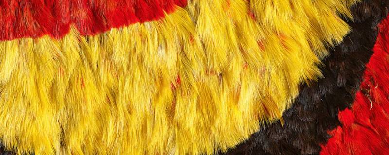 夏威夷的神秘光圈丨探索隐形实验现象背后的科学之谜