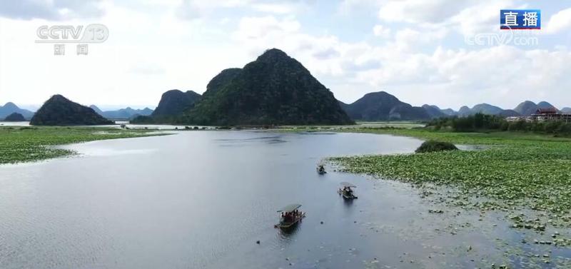 我曾在石缝里见过会发光的尘埃？