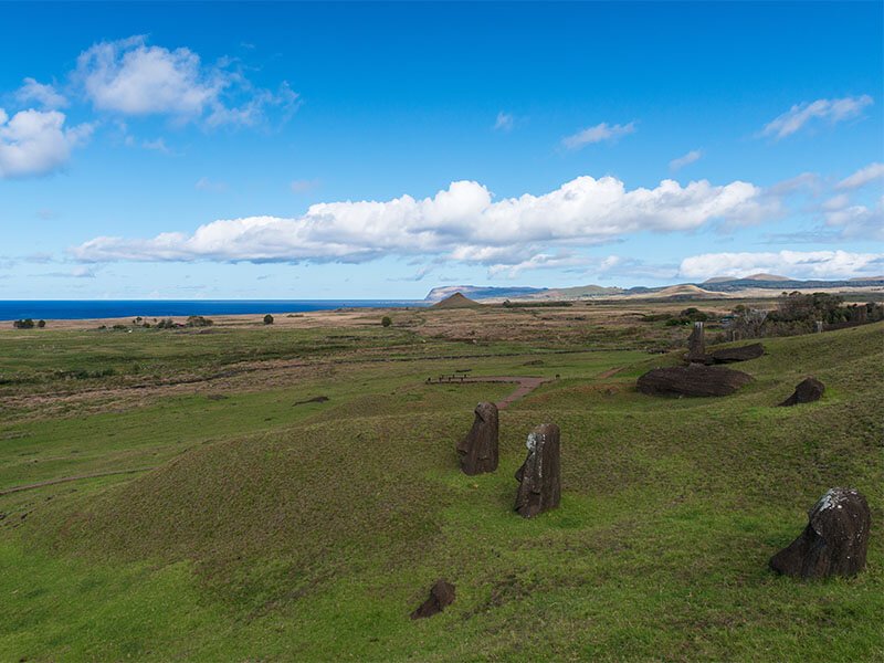 复活节岛梦境同步，探寻空白户籍背后的神秘面纱？