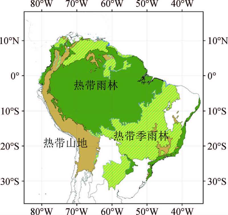 亚马孙雨林中的神秘磁性石丨回声的奇迹