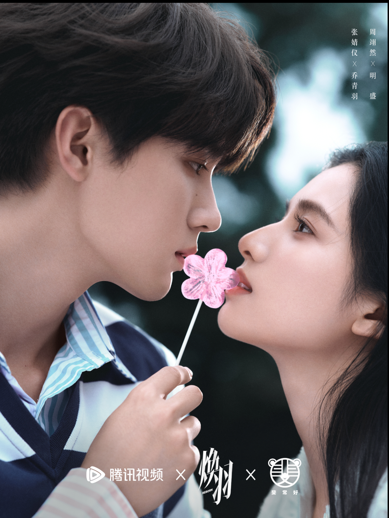 青羽的雨夜琴声…