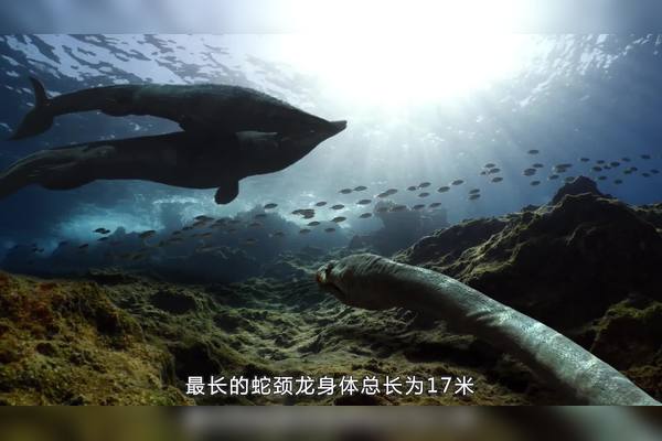 大洋洲深渊白龙·一个关于传说与现实的奇妙故事