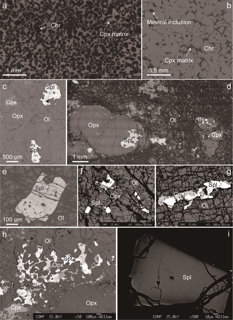 在海底废墟里，我见过一个会呼吸的圆盘…