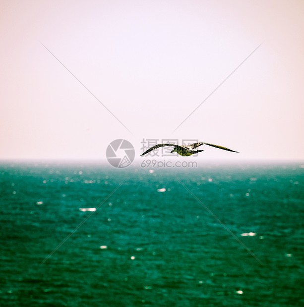 太平洋鹏鸟空间—一场跨越海洋的创意盛宴
