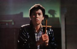 小猫阿喵的冒险之旅…