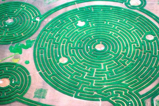 南极蜃龙迷宫：一场穿越时空的奇幻之旅