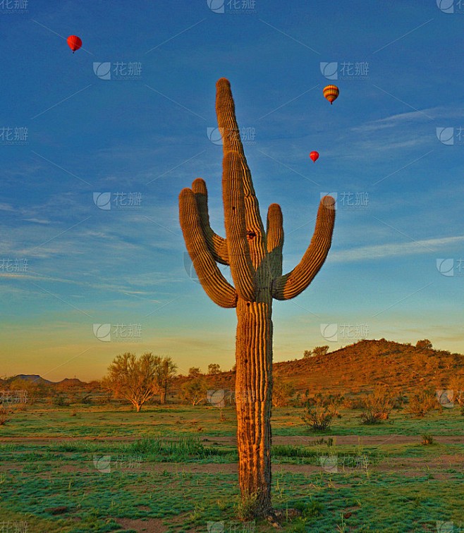 红雾沙漠石林气球碎片—一场未解的时空之谜