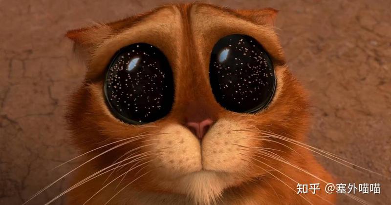 深夜的猫羔—一个关于鬼故事与猫的奇妙传说