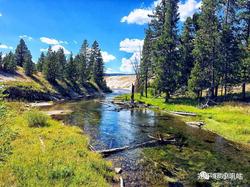 在黄石公园的清晨，我看见了人类与自然的和解…