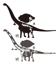 地底北美巨龙丨那些被地质层掩埋的传说