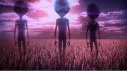 麦田怪圈背后的秘密｜大西洋上的神秘之谜