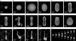 俄罗斯夜空里那团会漂的光，我真不是在开玩笑！