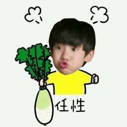 墨香里的梦想与坚持？