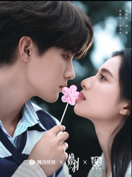 青羽的雨夜琴声…