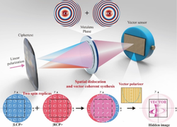 加州光体激活｜揭秘光能与心灵的奇妙互动
