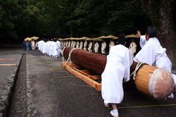 在北极的冰冷寒风中，守护着古老的灵魂？