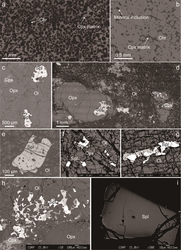在海底废墟里，我见过一个会呼吸的圆盘…