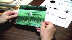 揭秘关岛麦田怪圈｜一场未解之谜的探险