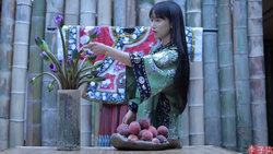 染柒阁楼的“谎言”修补铺？