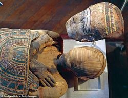 深海断层下的诡异脚步…