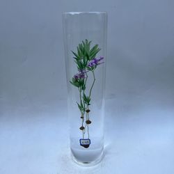 希腊植入物行业·暗藏的"生命线"与灰色交易