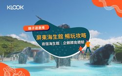 东海之谜丨神秘生物的传说与发现