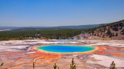 黄石公园的星际种子·大自然的神秘信使