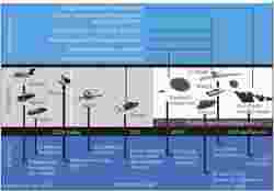 瑞士外星交换计划丨地球与宇宙的神秘对话