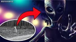 阿拉斯加奇遇—新墨西哥神秘现象的持续探索