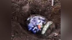 我差点在印加遗址里挖出一个“透明人”胶囊？