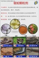 蛇影之下—古老驱蛇咒的奇妙传说