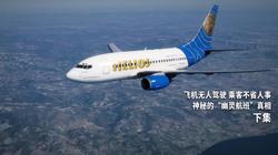 喜马拉雅航班19·那些被雪山吞没的128小时