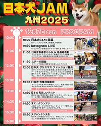 我养的狗居然能“日行千里”？