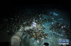 海底冷泉丨未知世界的神秘守护者