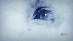 瞳孔里的放映机丨老张的最后一卷胶卷