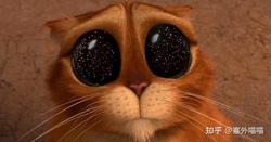 深夜的猫羔—一个关于鬼故事与猫的奇妙传说