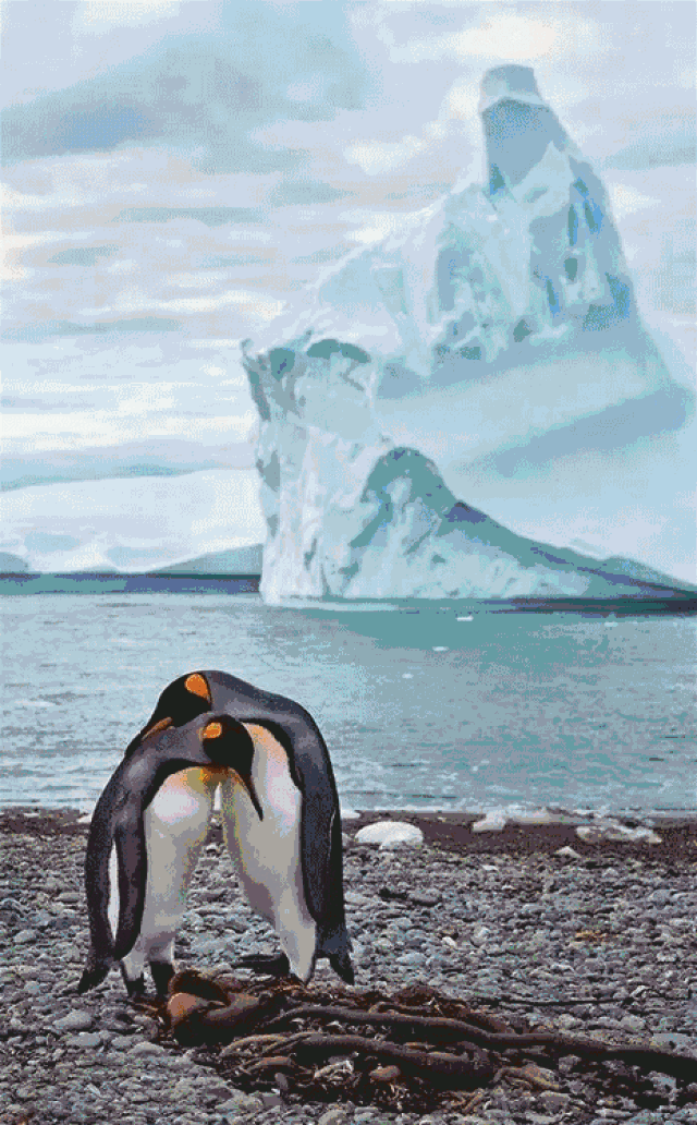 高加索冰川上的神秘遗骸|时间的静默见证者 高加索冰川上的神秘遗骸|时间的静默见证者