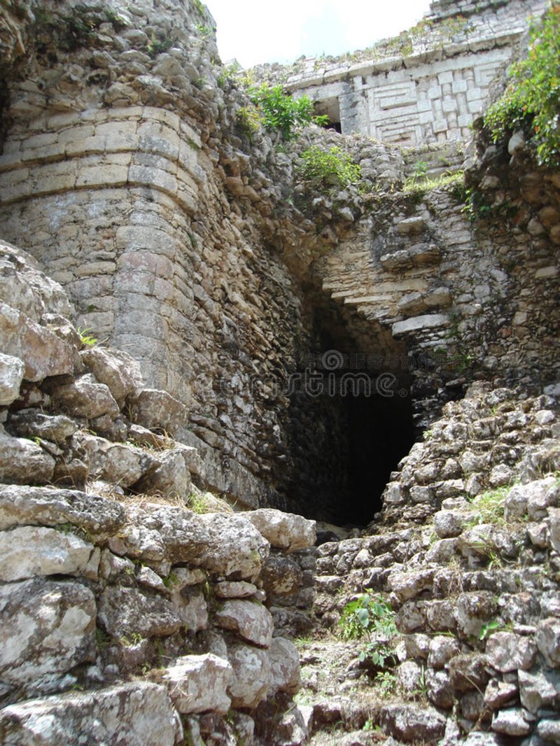 在废墟中寻找光明·金龙与黑暗的对话