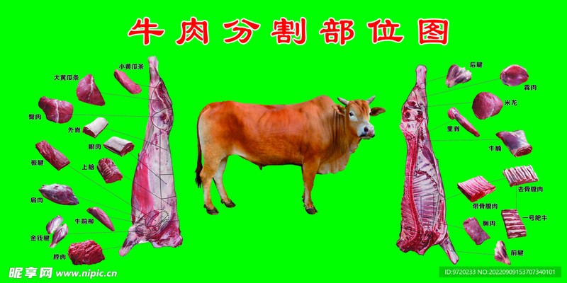 夏威夷的牛残割｜一场文化与道德的交锋